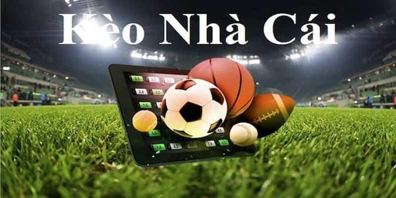 Kèo Nhà Cái 5: The Smart Bettor’s Choice for Football Insights