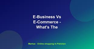 The Difference Between Owning an Online Store and Owning an eCommerce Business